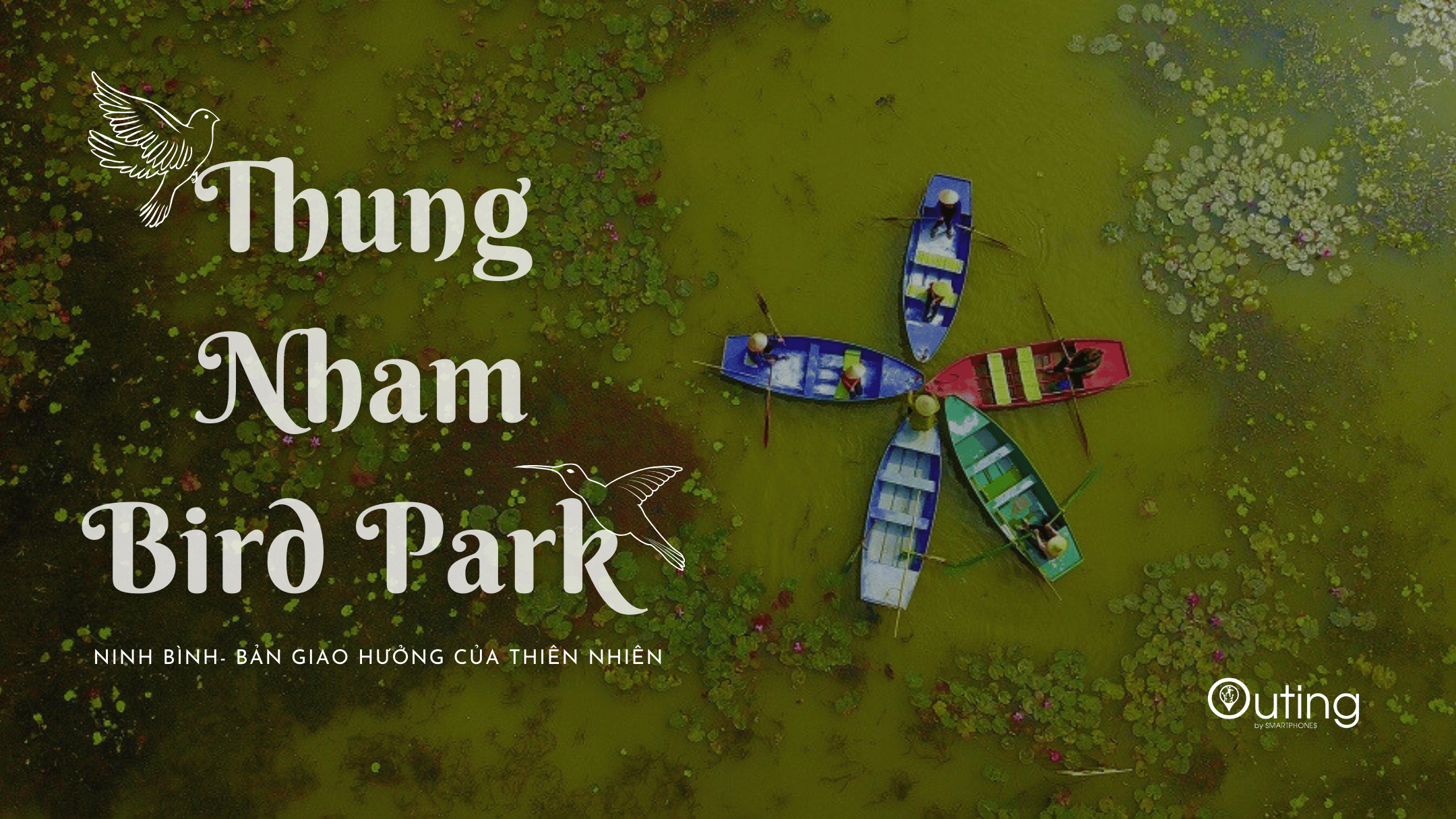 Team building hành trình về miền chim trời Thung Nham